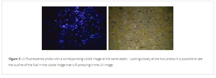 UV fluorescence & visible light matrix photos.
